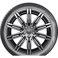 Летние шины Triangle EffeXSport TH202 255/30R20 92Y - Превью изображения №3 — Интернет-Магазин TECNO.BY