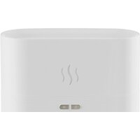 Sundays Home TBD0601842501A