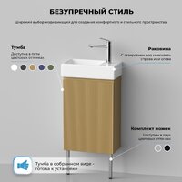  Wellsee Тумба под умывальник 3 в 1 WC Area 221803003 (тумба/матовый бежевый, раковина/глянцевый белый, ножки/нержавеющая сталь) - Превью изображения №8 — Интернет-Магазин TECNO.BY
