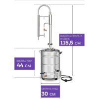 Феникс Зенит (30л) Image #8