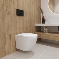 Унитаз подвесной Lauter Vortex 2110830 + GROHE Solido 38811KF0 с кнопкой (прямоугольная, черный) - Превью изображения №10 — Интернет-Магазин TECNO.BY