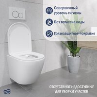 Унитаз подвесной Lauter Vortex 2110830 + GROHE Solido 38811KF0 с кнопкой (прямоугольная, черный) - Превью изображения №5 — Интернет-Магазин TECNO.BY