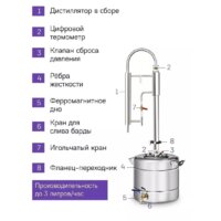 Феникс Зенит (20л) Image #3