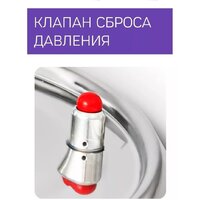 Феникс Зенит (20л) Image #6