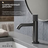 Смеситель Roxen Cler 50030216-GM - Превью изображения №3 — Интернет-Магазин TECNO.BY