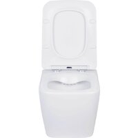 Roxen Cube в комплекте с инсталляцией StounFix Dual Fresh 6 в 1 968014 (кнопка: золото глянцевое ) Image #7