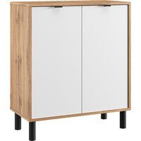 ЭлиГард Mone 2D (дуб вотан/белый)