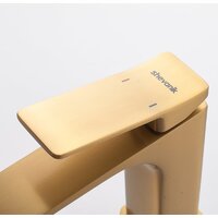 Shevanik S4001G Image #19