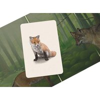 Стиль Жизни Смешанный лес Image #5