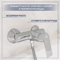 Смеситель Lauter Reef 21СК9678C с лейкой Living Daisy 21S10167 - Превью изображения №2 — Интернет-Магазин TECNO.BY
