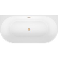Wellsee Excellence Pro 180x80 28760404R (пристенная ванна белый глянец, экран, ножки, сифон-автомат золото) Image #4