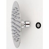 Potato P103-16 Image #5