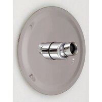 Potato P103-16 Image #3