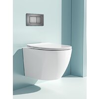Панель смыва Roxen Steel 420280G - Превью изображения №6 — Интернет-Магазин TECNO.BY