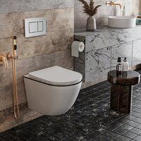 Roxen Antares Black в комплекте с инсталляцией StounFix Dual Fresh 6 в 1 968427 (кнопка: сатин) Image #2