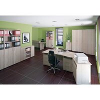 Премиум Акцент 400 (шимо светлый) Image #2