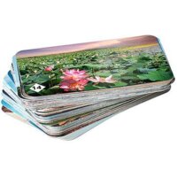 Нескучные игры Мемо - Природные чудеса России