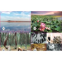 Нескучные игры Мемо - Природные чудеса России Image #6