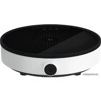 Xiaomi Induction Cooker Lite DCL002CM-1 (евровилка)
