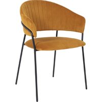 Алвест AV 433 (карри бархат Confetti chai tea/черный)