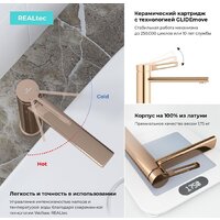 Wellsee ONCE! and forever 182409000, отдельностоящий (розовое золото) Image #4