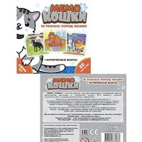 Нескучные игры Мемо. Кошки 834436 Image #4