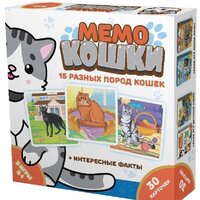 Нескучные игры Мемо. Кошки 834436