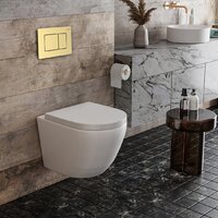 Roxen Antares в комплекте с инсталляцией StounFix Dual Fresh 6 в 1 968454 (кнопка: брашированное золото) Image #2