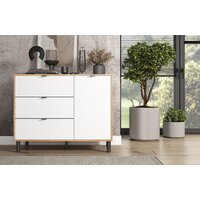 ЭлиГард Mone 1D3S (дуб вотан/белый) Image #4