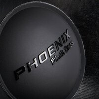 DL Audio Phoenix Black Bass 15 Image #5