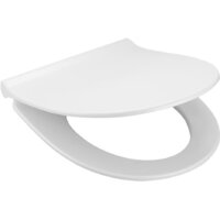 Roca Victoria 7342399000 + 734139Z000 + 801392002 (Slim с микролифтом) Image #3