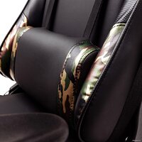 AksHome Military Eco (черный/камуфляж) Image #13