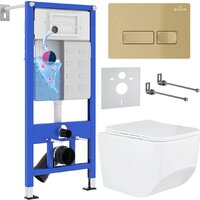 Roxen Boro в комплекте с инсталляцией StounFix Dual Fresh 6 в 1 968081 (кнопка: брашированное золото)