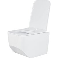 Roxen Boro в комплекте с инсталляцией StounFix Dual Fresh 6 в 1 968081 (кнопка: брашированное золото) Image #5