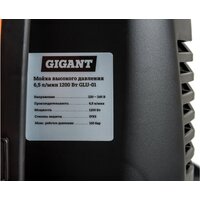 Мойка высокого давления Gigant GLU-01 - Превью изображения №8 — Интернет-Магазин TECNO.BY