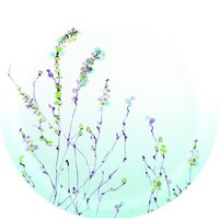 Luminarc Simply Trompette Turquoise V2715 (44 пр) Image #6