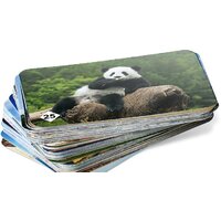 Нескучные игры Мемо - Удивительные животные Image #2