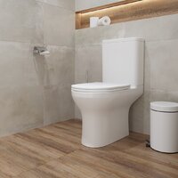 Унитаз напольный Lauter W246 2110246 + гигиенический душ Rainix 21LT7711CH (горизонтальный выпуск) - Превью изображения №19 — Интернет-Магазин TECNO.BY