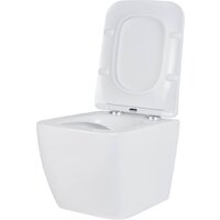 Roxen Cube в комплекте с инсталляцией StounFix Dual Fresh 6 в 1 968469 (кнопка: брашированное золото) Image #8