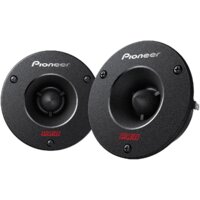 Pioneer TS-B1010PRO