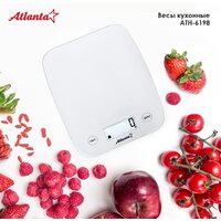 Atlanta ATH-6198 Image #7