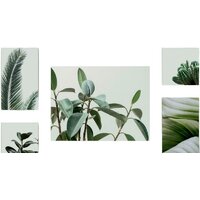 Stamprint Зеленное растение CS002 SET5 (90x160)