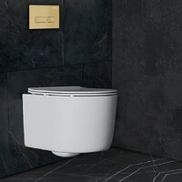 Roxen Simple compact в комплекте с инсталляцией StounFix Dual Fresh 6 в 1 968084 (кнопка: брашированное золото) Image #7