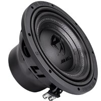 DL Audio Anaconda 10