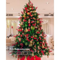 Max Christmas Версальская ЕСВ 24 (2.4м, подставка металл) Image #12