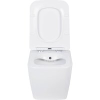 Roxen Cube Bidet One Rimless 6 в 1 StounFix Dual Fresh 508149 (кнопка: черный матовый) Image #7