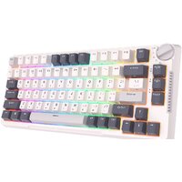 Royal Kludge RK-H81 RGB White Night (RK Blue) Image #3