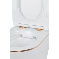 Roxen Antares Gold в комплекте с инсталляцией StounFix Dual Fresh 6 в 1 968092 (кнопка: золото глянцевое ) Image #8
