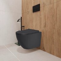 Унитаз подвесной Lauter Augsburg 21109EC + Marberg 410 + Marberg 410 RD GL-WT (черный матовый с кнопкой смыва) - Превью изображения №9 — Интернет-Магазин TECNO.BY