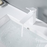 Shevanik S4401C Image #9